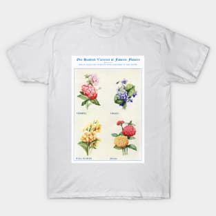 Flower watercolor illustration (1915) T-Shirt